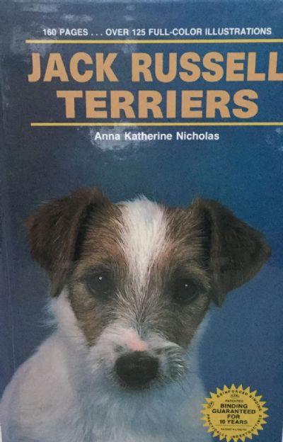 JACK RUSSELL TERRIERS 