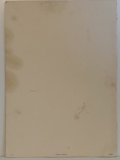 MARITIME MEMORABILIA: Cunard Line - RMS Queen Mary - Luncheon Menu 25 June 1952