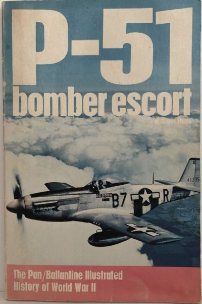 P-51 Bomber Escort 
