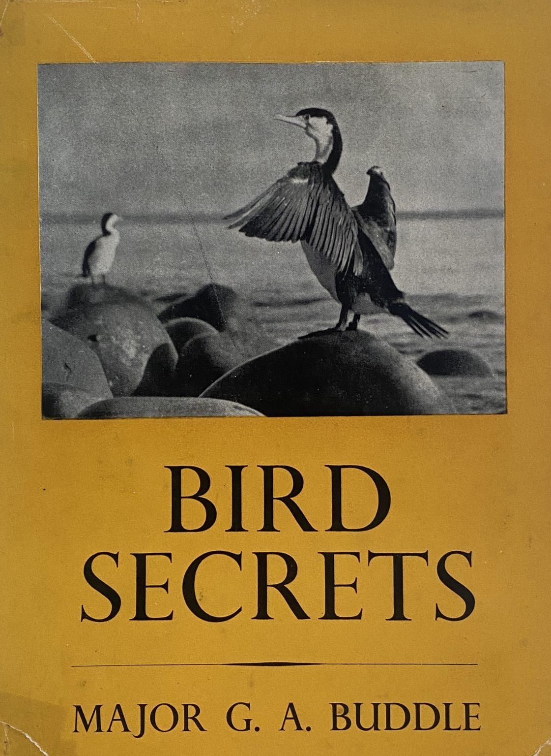 BIRD SECRETS
