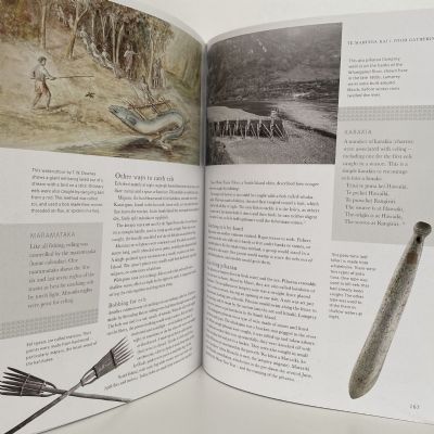 TE TAIAO MAORI and the Natural World