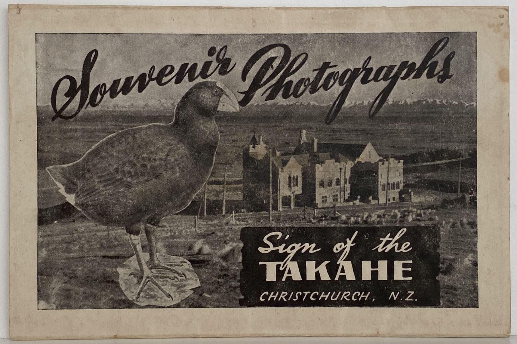 SIGN OF THE TAKAHE, Christchurch - Souvenir Photographs