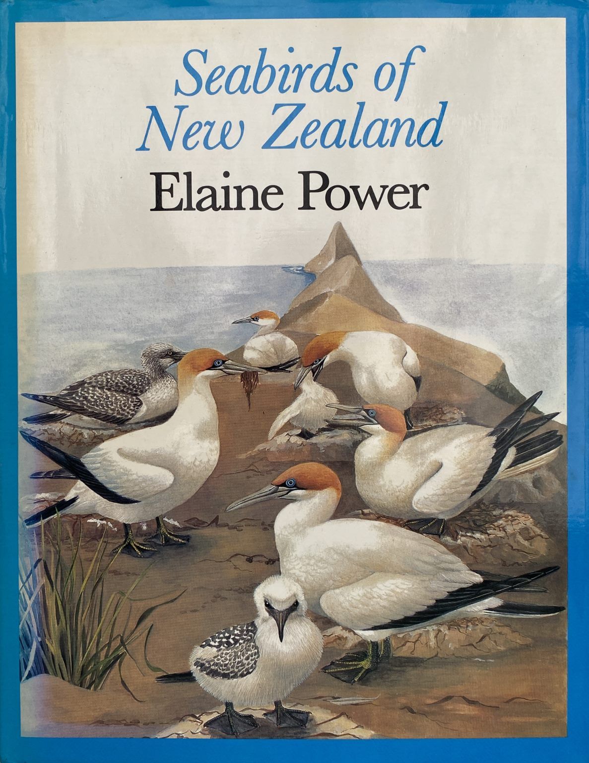 SEABIRDS OF NEW ZEALAND