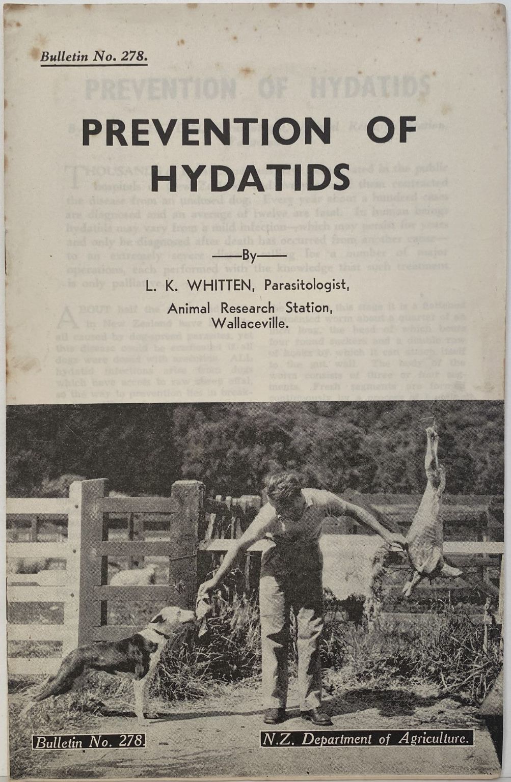 PREVENTION of HYDATIDS: Bulletin No. 278