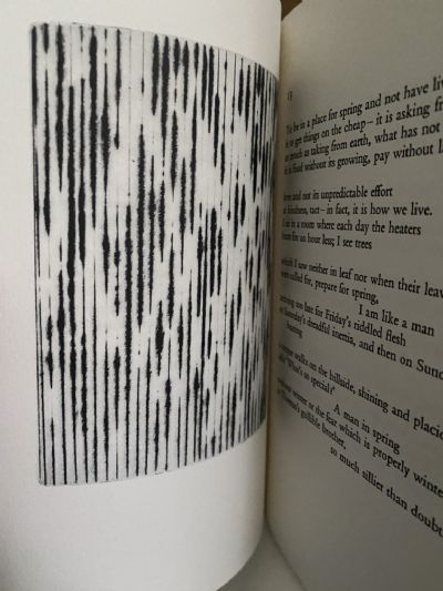 BROTHER JONATHAN - BROTHER KAFKA