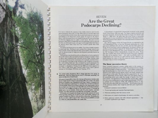TO SAVE A FOREST: Whirinaki
