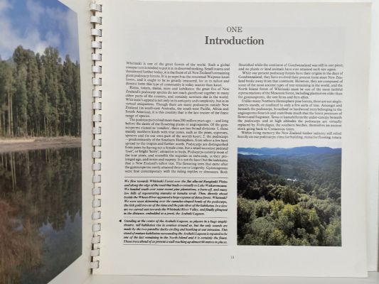 TO SAVE A FOREST: Whirinaki
