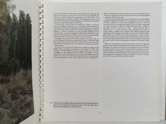 TO SAVE A FOREST: Whirinaki