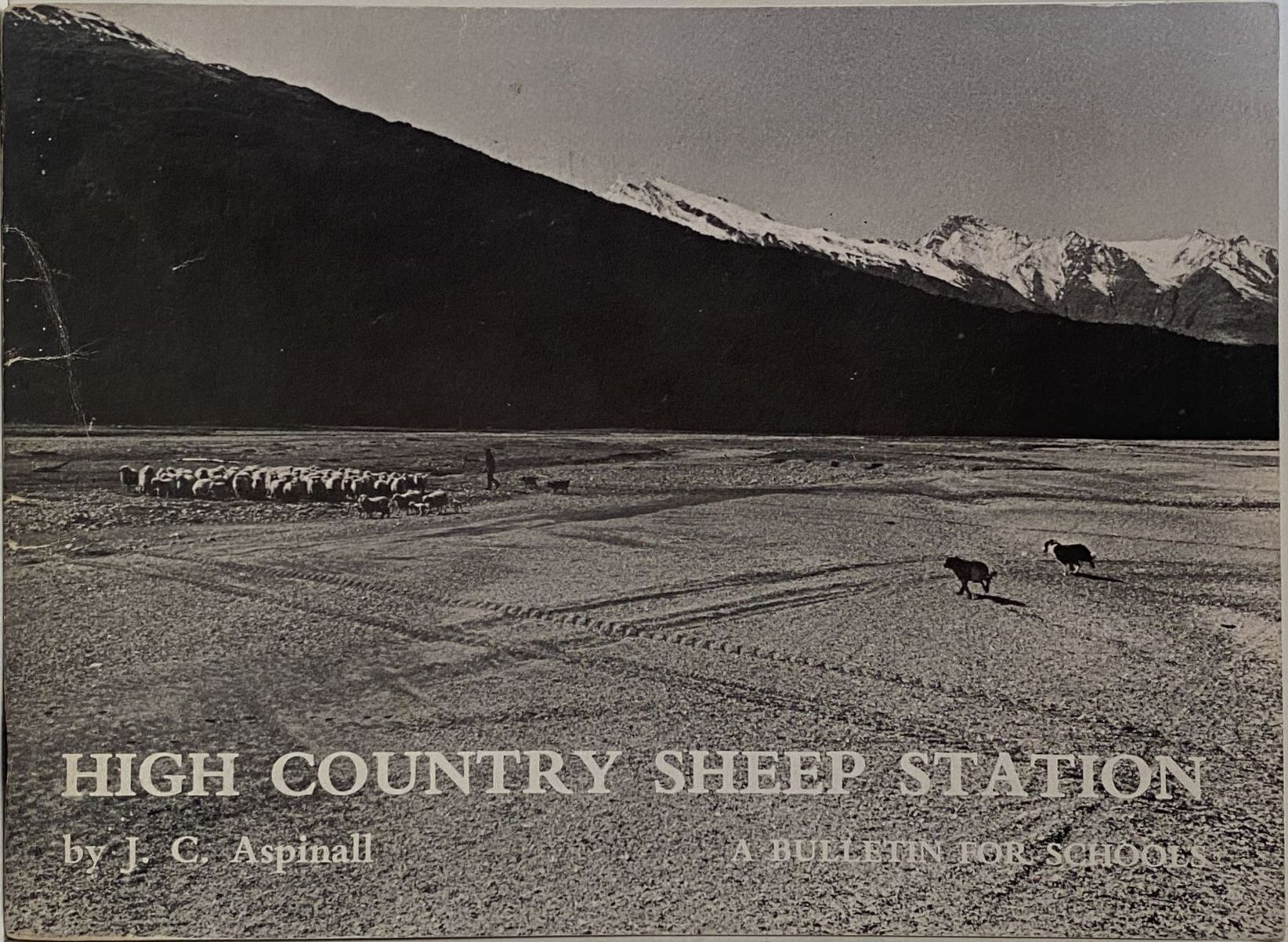 HIGH COUNTRY SHEEP STATION