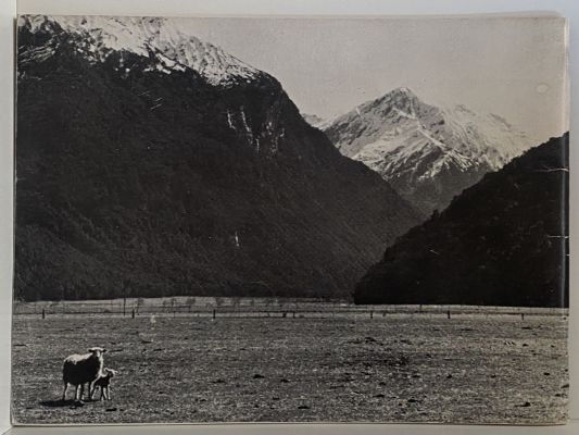HIGH COUNTRY SHEEP STATION