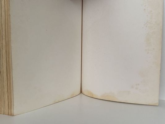 ART: A History of Painting, Sculpture, Architecture