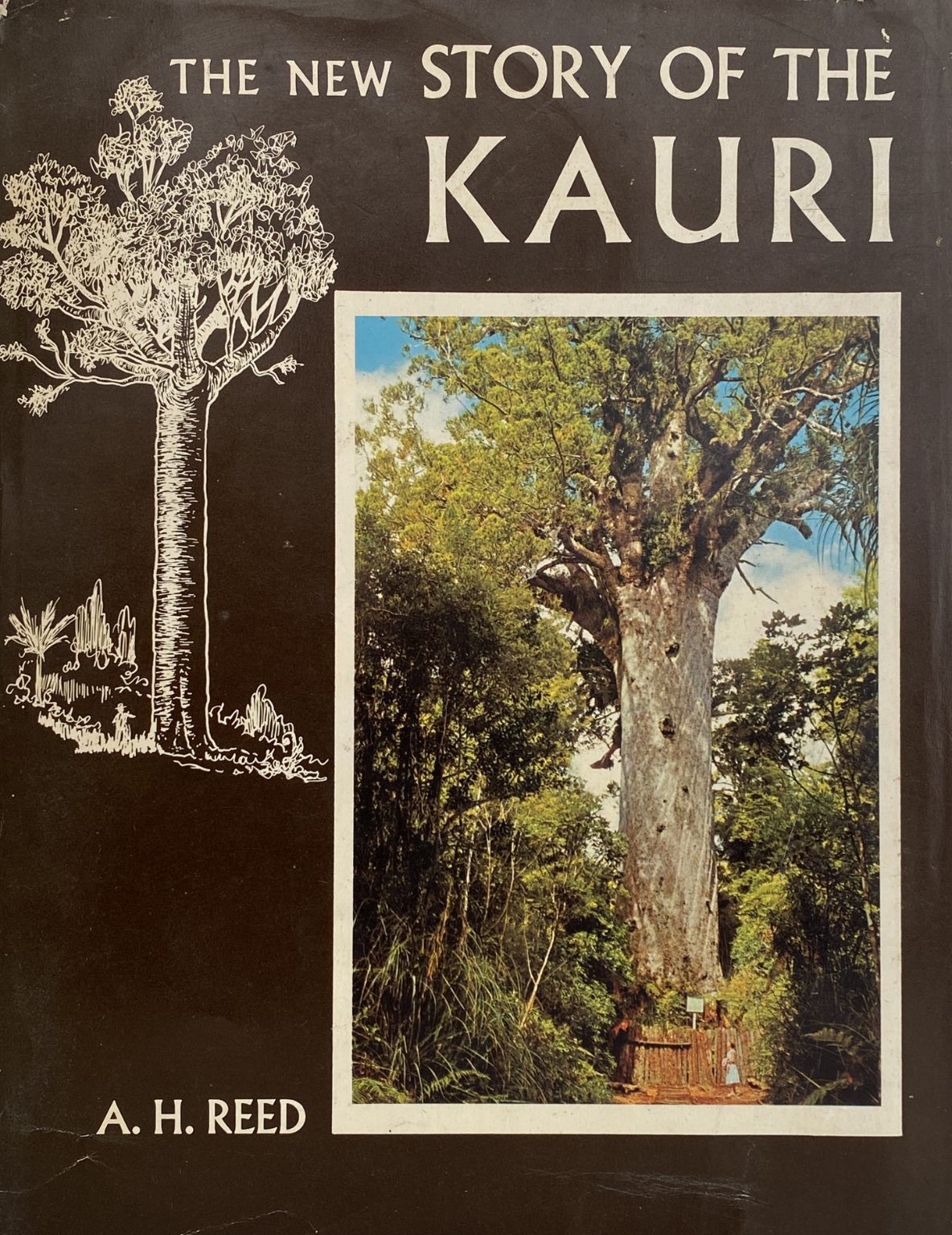 THE NEW STORY OF THE KAURI