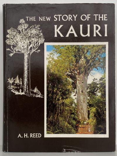 THE NEW STORY OF THE KAURI