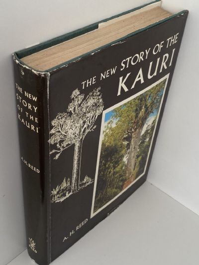 THE NEW STORY OF THE KAURI