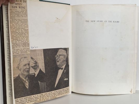 THE NEW STORY OF THE KAURI