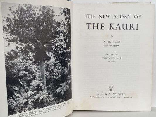 THE NEW STORY OF THE KAURI