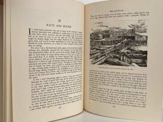 THE NEW STORY OF THE KAURI