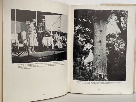 THE NEW STORY OF THE KAURI