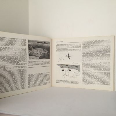 SEACOAST IN THE SEVENTIES: The future of the New Zealand Shoreline