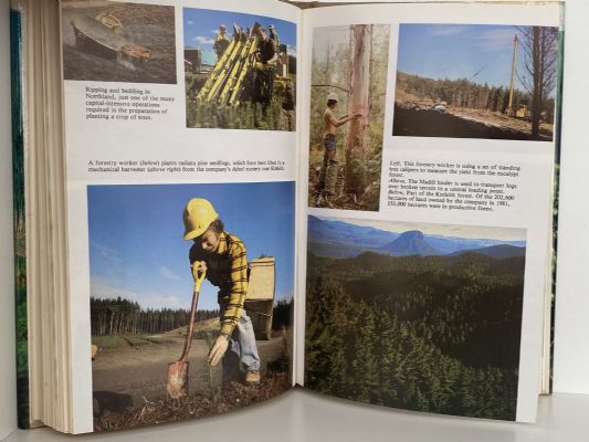 A HUNDRED MILLION TREES: The story of New Zealand Forest Products