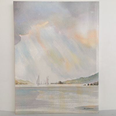 Turn of the Tide : Bay of Islands County Council 1977-1989