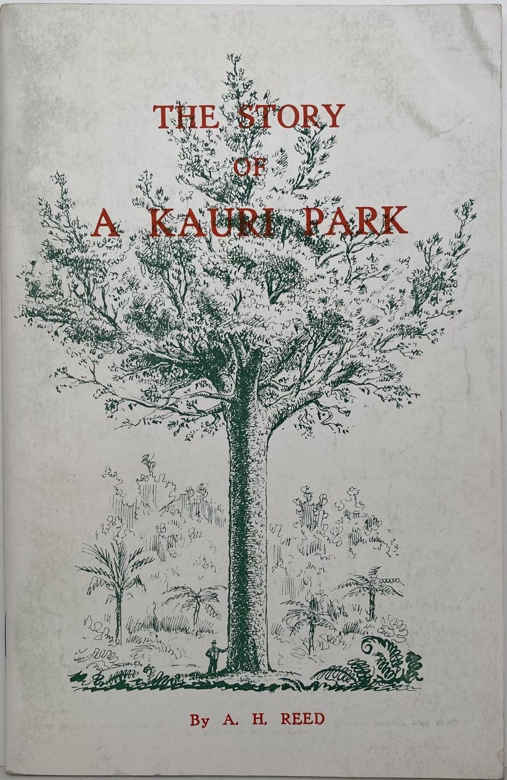 The Story of a Kauri Park