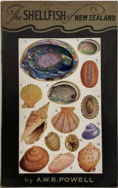 THE SHELLFISH OF NEW ZEALAND: An Illustrated Handbook