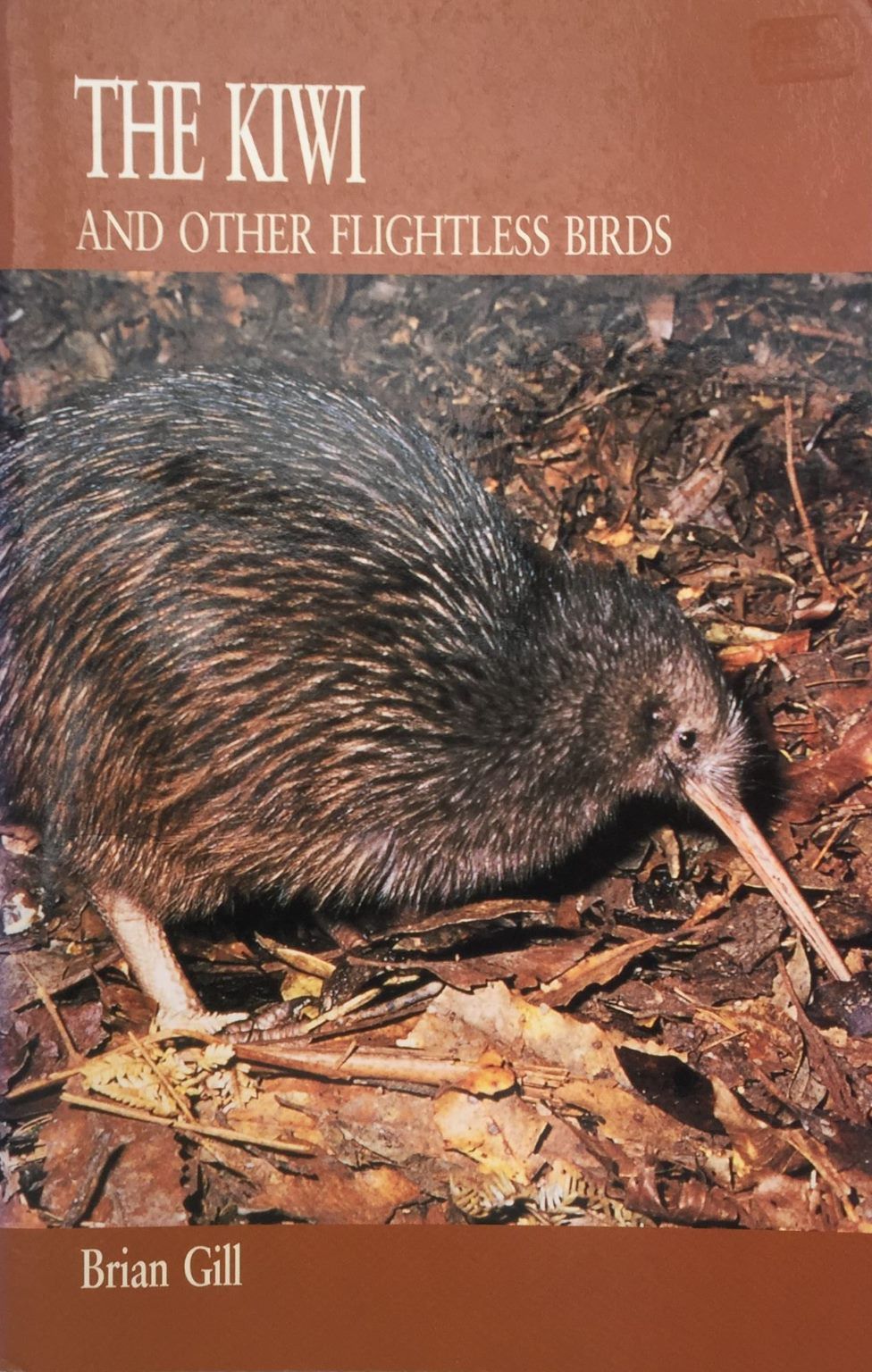 THE KIWI and Other Flightless Birds