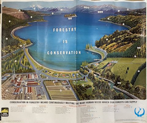 VINTAGE POSTER: New Zealand Forest Service - National Conservation Campaign 1974 