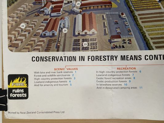 VINTAGE POSTER: New Zealand Forest Service - National Conservation Campaign 1974