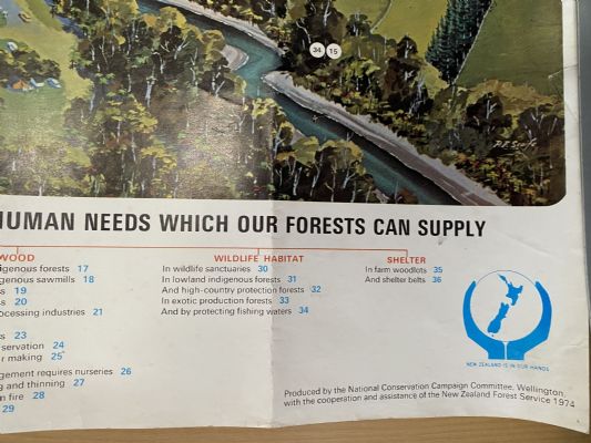 VINTAGE POSTER: New Zealand Forest Service - National Conservation Campaign 1974