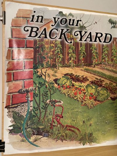 VINTAGE CALENDAR: Post Office Savings Bank / National Conservation Week
