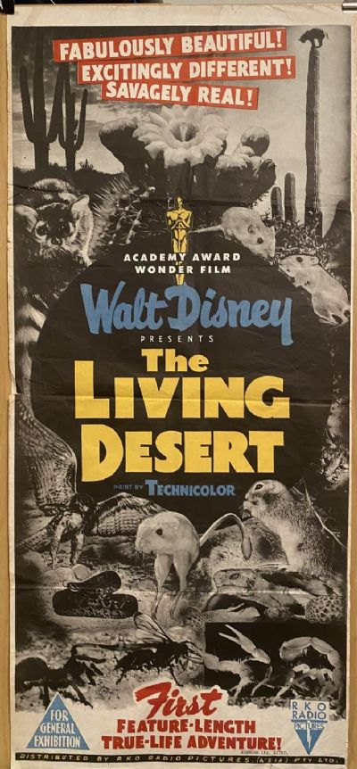 VINTAGE POSTER: Walt Disney Presents - The Living Desert in Technicolour 1953 