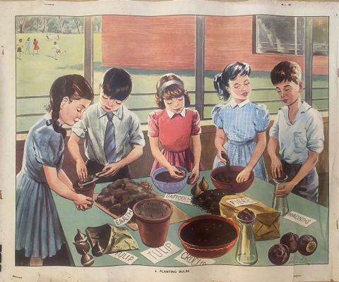 VINTAGE POSTER: No. 6 - Planting Bulbs 