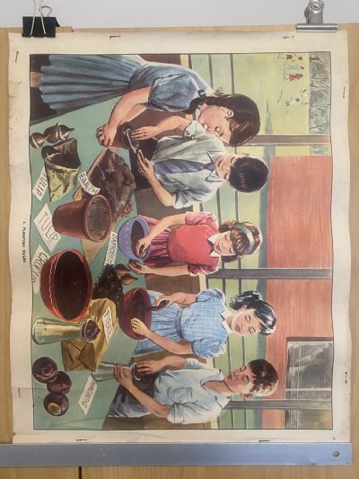 VINTAGE POSTER: No. 6 - Planting Bulbs