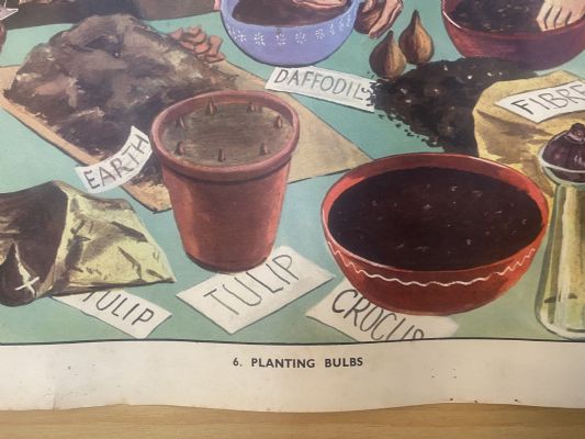 VINTAGE POSTER: No. 6 - Planting Bulbs