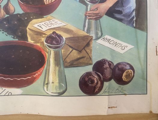 VINTAGE POSTER: No. 6 - Planting Bulbs