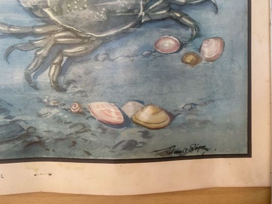 VINTAGE POSTER: No. 37 - The Crab with a Long Tail
