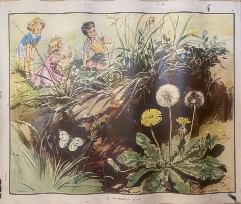 VINTAGE POSTER: No. 15 - The Dandelion Clocks 
