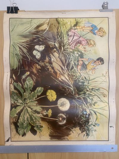 VINTAGE POSTER: No. 15 - The Dandelion Clocks