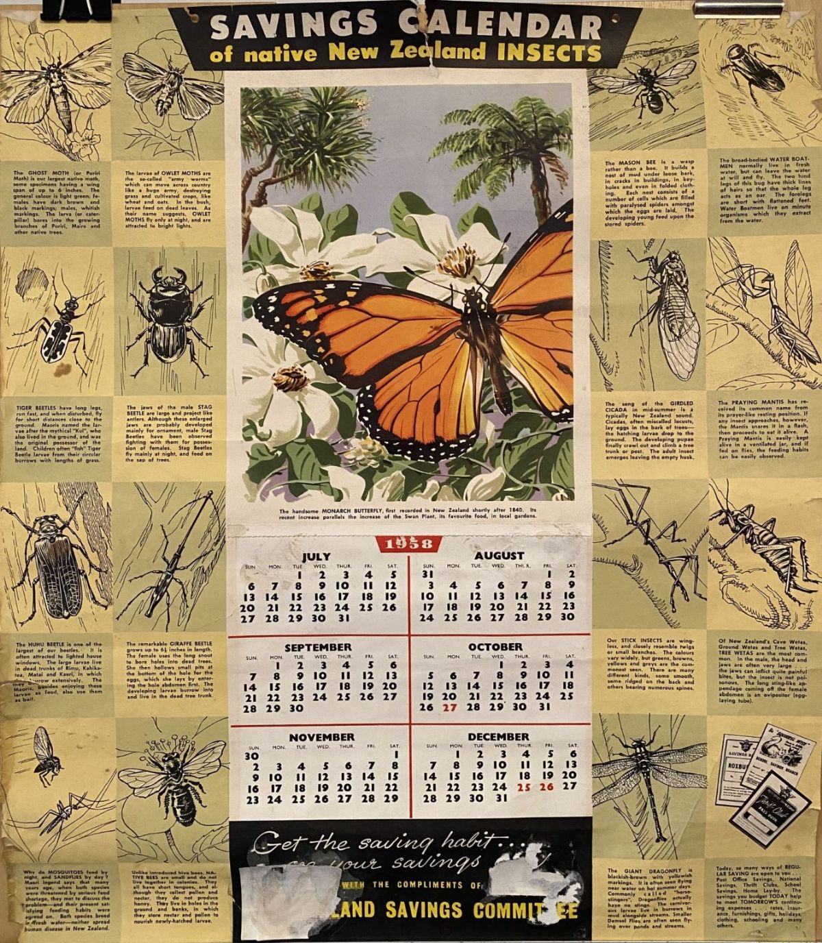 VINTAGE POSTER: Savings Calendar of Native Insects / NZ Savings Committee 1958