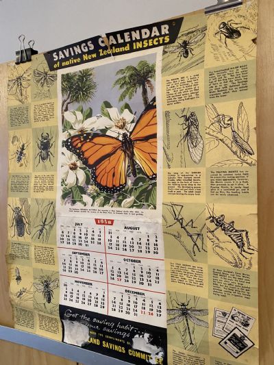 VINTAGE POSTER: Savings Calendar of Native Insects / NZ Savings Committee 1958
