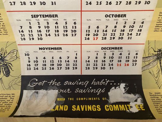 VINTAGE POSTER: Savings Calendar of Native Insects / NZ Savings Committee 1958