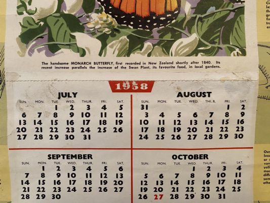 VINTAGE POSTER: Savings Calendar of Native Insects / NZ Savings Committee 1958