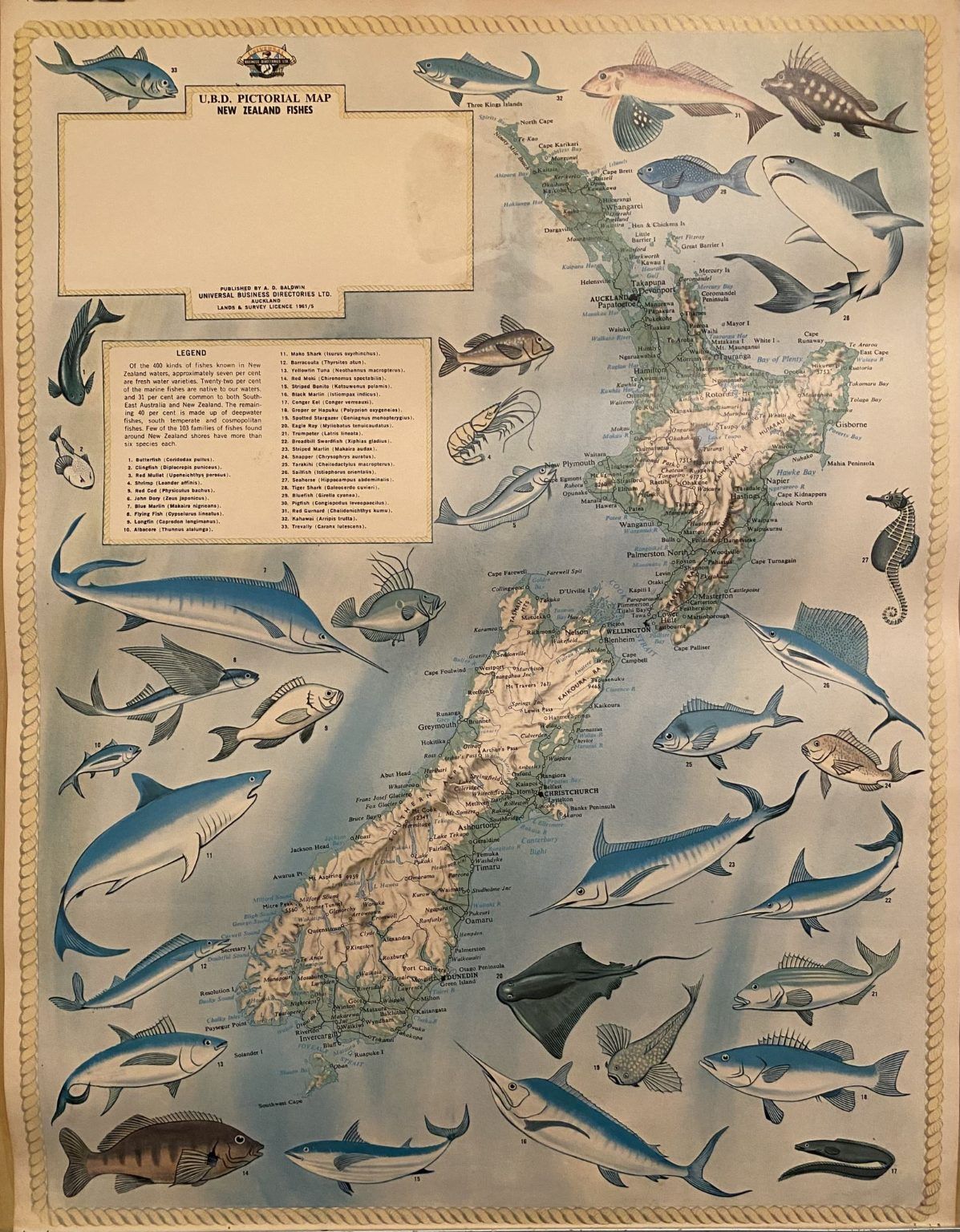 VINTAGE POSTER: UBD Pictorial Map of New Zealand Fishes