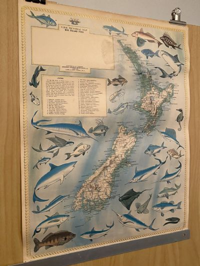 VINTAGE POSTER: UBD Pictorial Map of New Zealand Fishes