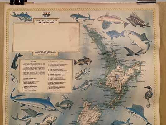 VINTAGE POSTER: UBD Pictorial Map of New Zealand Fishes