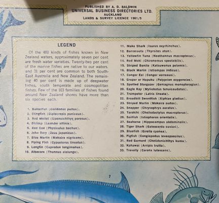 VINTAGE POSTER: UBD Pictorial Map of New Zealand Fishes