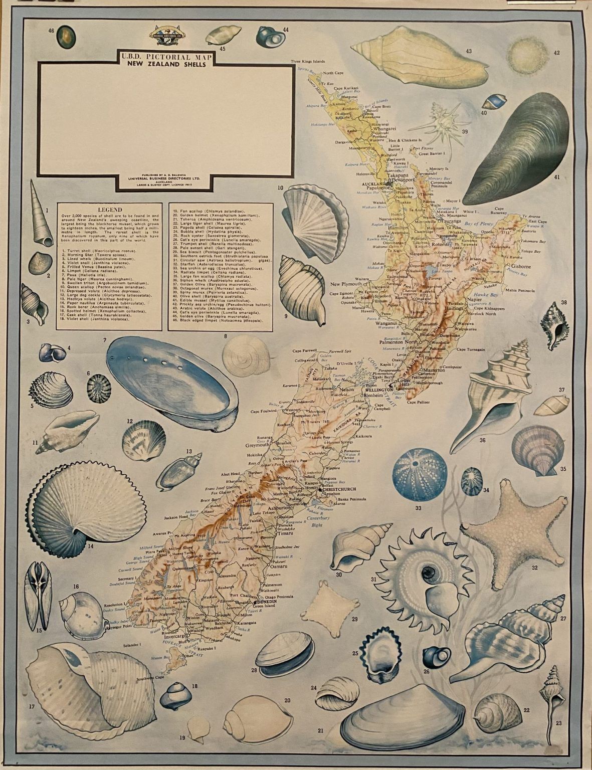 VINTAGE POSTER: UBD Pictorial Map of New Zealand Shells