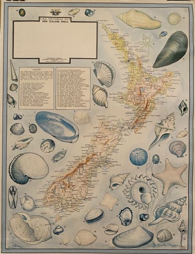 VINTAGE POSTER: UBD Pictorial Map of New Zealand Shells 
